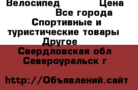 Велосипед Viva A2 › Цена ­ 14 500 - Все города Спортивные и туристические товары » Другое   . Свердловская обл.,Североуральск г.